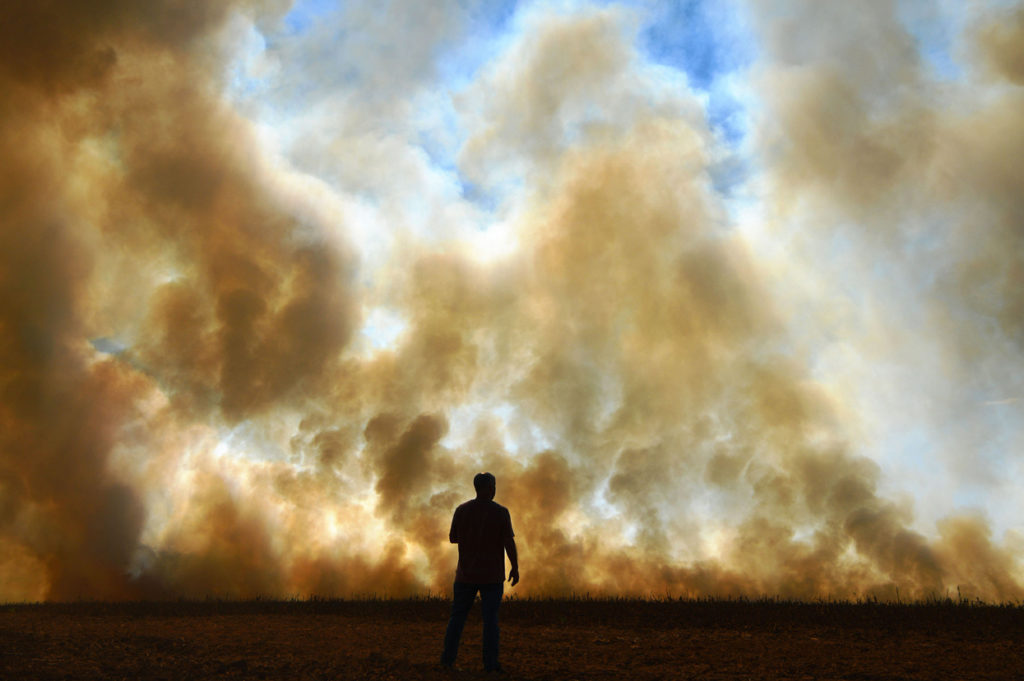 miehen hahmo savuavalla maissipellolla Brasiliassa